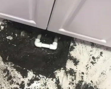 屯溪查漏水哪家好